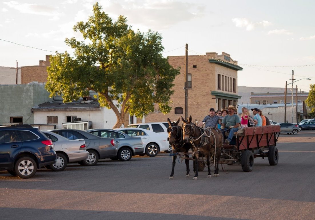 To get a different view of downtown, we took a few community members on a mule ride through town to discuss their vision for downtown